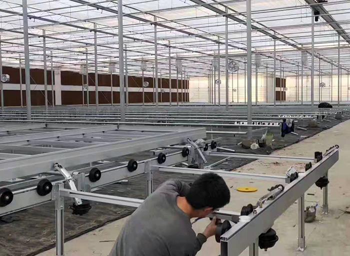 温室育苗床